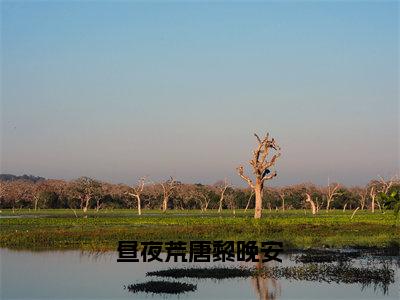 昼夜荒唐黎晚安（贺闻洲黎晚安）小说全文免费读无弹窗大结局_昼夜荒唐黎晚安小说章节试读最新章节列表笔趣阁