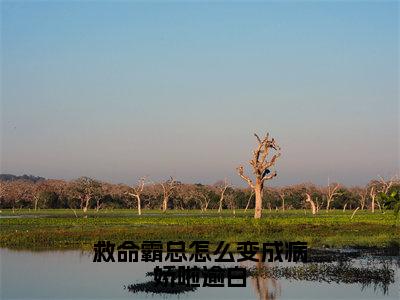 救命霸总怎么变成病娇啦逾白小说免费阅读沈思淼秦免费阅读无弹窗小说