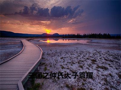 三国之仲氏太子袁耀（袁耀）精彩热门小说-三国之仲氏太子袁耀全章节免费阅读