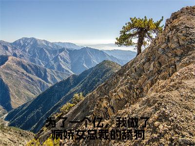 为了一个亿，我做了病娇女总裁的舔狗（陆叶）小说免费阅读无弹窗大结局_（陆叶阅读无弹窗）最新章节列表