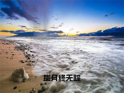 顾清寒岑玥小说（揽月终无踪）无弹窗大结局-揽月终无踪（顾清寒岑玥）完整版免费阅读