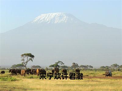 许君澈宋宁欢（宋宁欢许君澈）全文免费阅读无弹窗大结局_（宋宁欢许君澈小说免费阅读）_笔趣阁