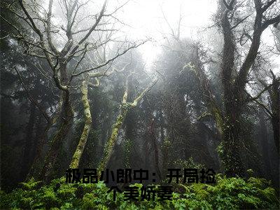 极品小郎中：开局捡个美娇妻（宋轩）免费阅读无弹窗大结局-极品小郎中：开局捡个美娇妻免费阅读大结局最新章节列表_笔趣阁