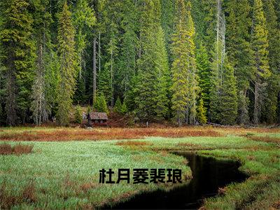 裴琅杜月菱（杜月菱裴琅）全文免费阅读无弹窗大结局_杜月菱裴琅小说在线阅读无删减