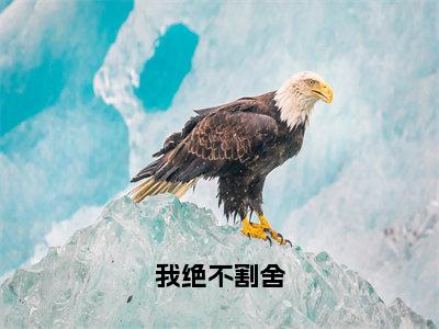 我绝不割舍（江越阮凝）精选好书-江越阮凝无删减版在线阅读（江越阮凝全文免费阅读）