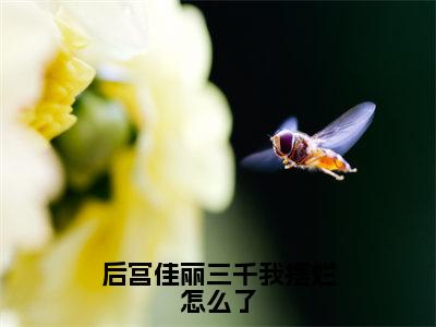 后宫佳丽三千我摆烂怎么了全网首发最新小说，主角李群崔袖全文在线免费阅读