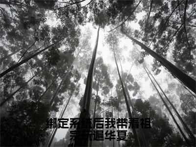 宋灵音（绑定系统后我带着祖宗玩遍华夏）新上热文免费阅读-宋灵音（绑定系统后我带着祖宗玩遍华夏）无广告在线阅读