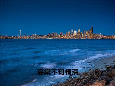 海棠不知情深小说全文大结局-海棠不知情深（许彦季云深宁晚）小说全文免费阅读