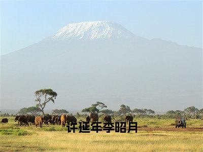 小说《许延年李昭月》全文免费阅读无弹窗-许延年李昭月（李昭月许延年）小说全文在线赏析_笔趣阁