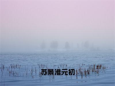 《苏景淮元初》无弹窗大结局-（苏景淮元初）无弹窗阅读最新章节列表_笔趣阁