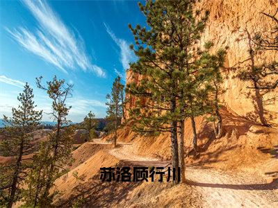 顾行川苏洛（苏洛顾行川）小说最后结局-（苏洛顾行川）完结版免费阅读