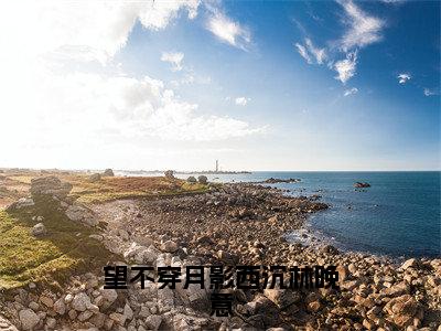 顾南辰林晚意（望不穿月影西沉林晚意）全文免费阅读无弹窗大结局_望不穿月影西沉林晚意最新章节列表（顾南辰林晚意）