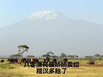 叶小珍小说-八零漂亮傻娇娇卖给糙汉多胎了最新章节全文阅读