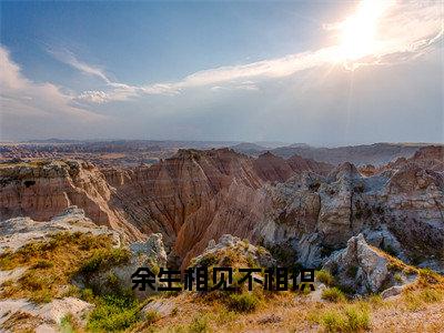 余生相见不相识小说（蒋书屹宋慈阳）全文免费阅读无弹窗大结局_蒋书屹宋慈阳最新章节列表（蒋书屹宋慈阳）