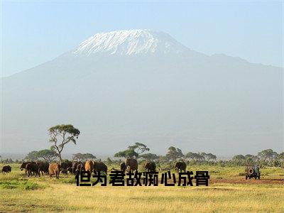 但为君故痴心成骨（戚长华安凉月）小说-但为君故痴心成骨小说免费最新章节列表