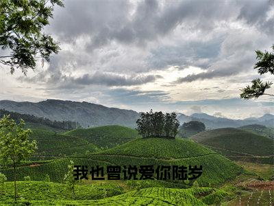 孟芄陆岁（我也曾说爱你陆岁）全文免费阅读无弹窗大结局_我也曾说爱你陆岁全文免费阅读_笔趣阁