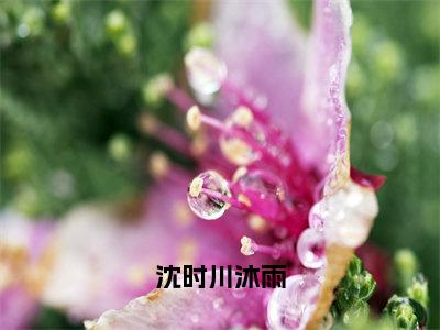 沈时川沐雨（沈时川沐雨）全文免费阅读无弹窗大结局_（沈时川沐雨无弹窗）最新章节免费阅读_笔趣阁