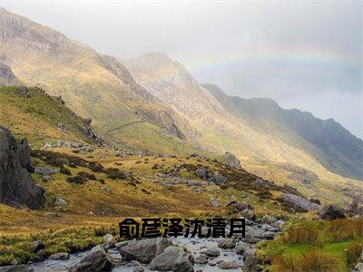 俞彦泽沈清月小说全文在线赏析沈清月俞彦泽小说免费阅读全文大结局