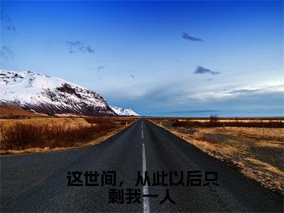 这世间，从此以后只剩我一人全文（段渠沈知星）全文免费阅读无弹窗大结局_（段渠沈知星）最新章节列表