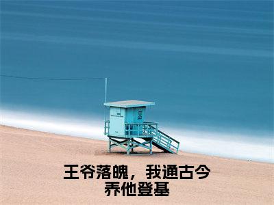 《王爷落魄，我通古今养他登基》无弹窗大结局-（姬清络澹台胥）无弹窗阅读最新章节列表_笔趣阁