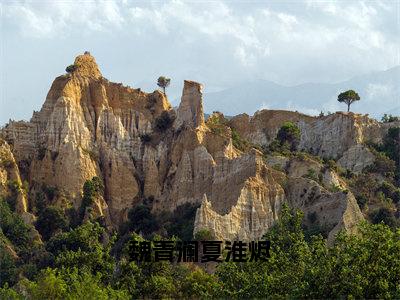 魏青澜夏淮烬全文免费在线阅读_（魏青澜夏淮烬免费阅读无弹窗）夏淮烬魏青澜全文免费完结版阅读