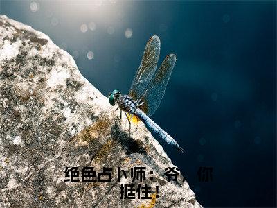 白小末小说免费全本-绝色占卜师：爷，你挺住！小说（白小末完整版）免费阅读