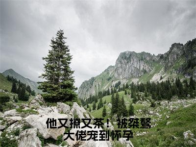 他又撩又茶！被桀骜大佬宠到怀孕（谢京墨虞之琬）小说全文免费阅读无弹窗大结局_（谢京墨虞之琬免费阅读）他又撩又茶！被桀骜大佬宠到怀孕最新章节列表笔趣阁