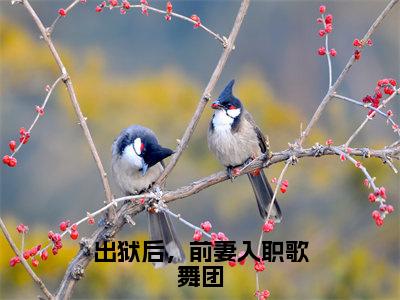 热门小说李浮屠出狱后，前妻入职歌舞团全文免费阅读无弹窗大结局-李浮屠全文无弹窗免费阅读大结局