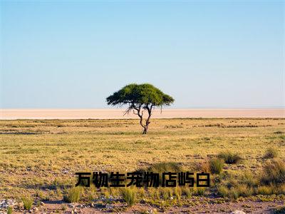 万物生宠物店屿白全网热搜（沈牧屿白）是什么小说，万物生宠物店屿白免费阅读无弹窗