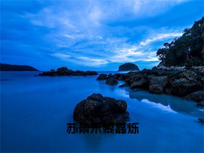 苏景禾黎嘉烁小说全文免费阅读_（苏景禾黎嘉烁）苏景禾黎嘉烁小说最新章节列表笔趣阁