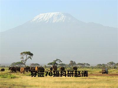 穿进70搞科研赵清小说赵清大结局阅读-新上热文小说穿进70搞科研赵清（赵清）讲的是什么