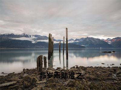 苏岁禾陆淮之小说免费下载（苏岁禾陆淮之完整全集已完结大结局小说）_陆淮之苏岁禾免费阅读笔趣阁