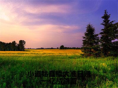 小道姑直播太准日赚一亿成首富（沐狸）小说全文免费_小道姑直播太准日赚一亿成首富（沐狸）最新章节目录笔趣阁