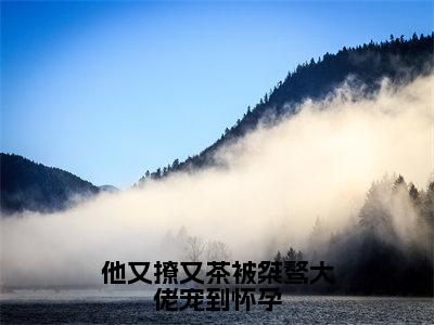 （他又撩又茶被桀骜大佬宠到怀孕抖音小说）谢京墨虞之琬小说全文阅读免费