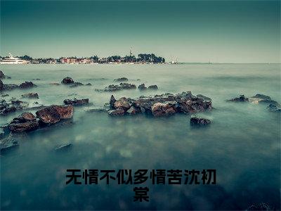 无情不似多情苦沈初棠全文（陆辞安沈初棠）抖音热推小说全集无删减_陆辞安沈初棠免费最新章节列表_笔趣阁