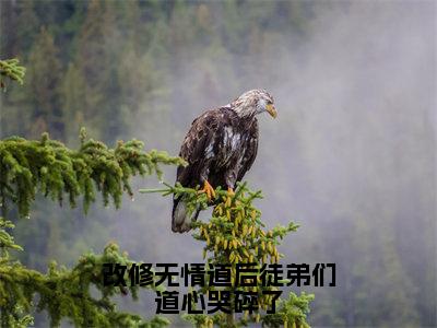 改修无情道后徒弟们道心哭碎了（宁心赢）全文小说-改修无情道后徒弟们道心哭碎了小说最新章节免费阅读（免费）+（全文）