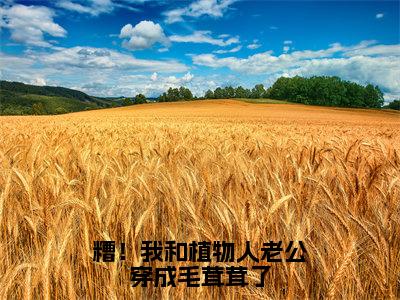 糟！我和植物人老公穿成毛茸茸了在线阅读（段乘鸢）全文无弹窗大结局_段乘鸢全文在线阅读无弹窗