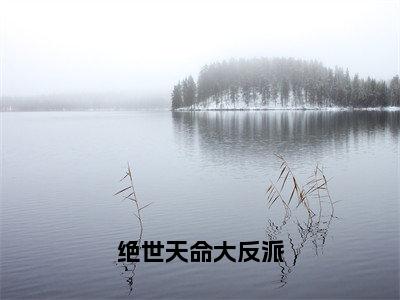 绝世天命大反派（叶玄）全文免费阅读大结局_绝世天命大反派（叶玄在线小说免费阅读）全文阅读大结局