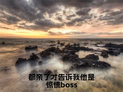 都亲了才告诉我他是惊悚boss（林辰安宋雪媱）小说全文免费阅读无弹窗大结局_（林辰安宋雪媱）都亲了才告诉我他是惊悚boss最新章节列表