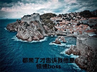 林辰安宋雪媱（都亲了才告诉我他是惊悚boss）全文免费阅读无弹窗大结局_都亲了才告诉我他是惊悚boss（林辰安宋雪媱无弹窗）_笔趣阁