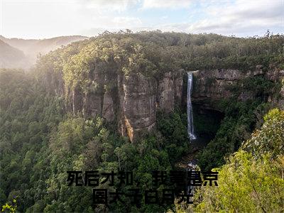 死后才知，我竟是京圈太子白月光小说限时免费，裴云霄沈熹微完结版小说阅读无弹窗_笔趣阁