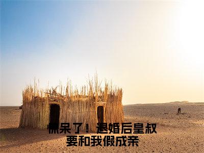 惊呆了！退婚后皇叔要和我假成亲在线阅读（穆轻颜君晔小说）全文免费阅读无弹窗大结局_惊呆了！退婚后皇叔要和我假成亲免费最新章节列表