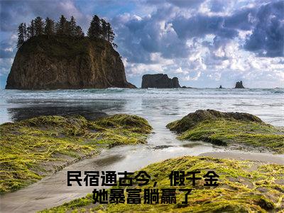 民宿通古今，假千金她暴富躺赢了小说全文免费阅读（杜景瑜时微）全文免费阅读无弹窗大结局