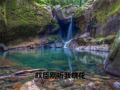 沈珺谢辞景（权臣别折我桃花）全文免费阅读无弹窗大结局_沈珺谢辞景免费最新章节列表_笔趣阁