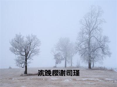 沈晚樱谢司瑾（谢司瑾沈晚樱）小说全文免费阅读无弹窗-沈晚樱谢司瑾全章节在线阅读（谢司瑾沈晚樱免费+后续）