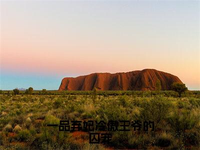 一品弃妃冷傲王爷的囚宠免费小说-一品弃妃冷傲王爷的囚宠完结版在线阅读