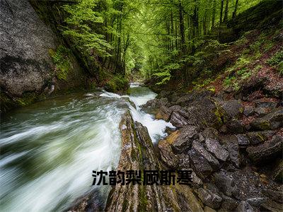 沈韵梨顾斯寒（顾斯寒沈韵梨）完整版小说阅读_沈韵梨顾斯寒全文免费阅读最新章节列表_笔趣阁