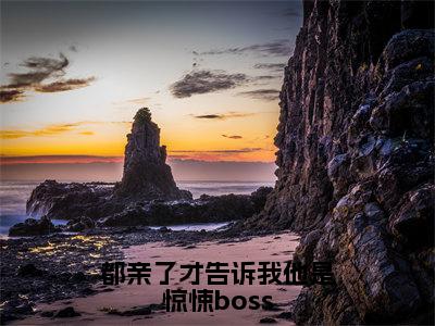 都亲了才告诉我他是惊悚boss（宋雪媱林辰安）全文免费阅读无弹窗大结局_（都亲了才告诉我他是惊悚boss阅读全文大结局）宋雪媱林辰安最新章节列表