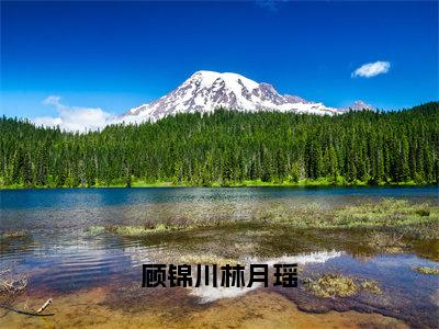 顾锦川林月瑶（顾锦川林月瑶）在哪免费看-小说（顾锦川林月瑶）全文完整版免费阅读顾锦川林月瑶