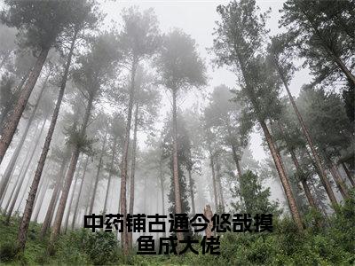 《中药铺古通今悠哉摸鱼成大佬》苏念念在哪免费看-中药铺古通今悠哉摸鱼成大佬（苏念念）已完结全集大结局